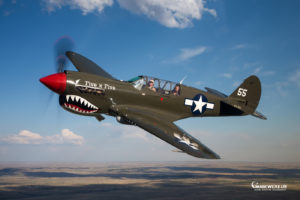 Curtiss P-40 Warhawk Air to Air